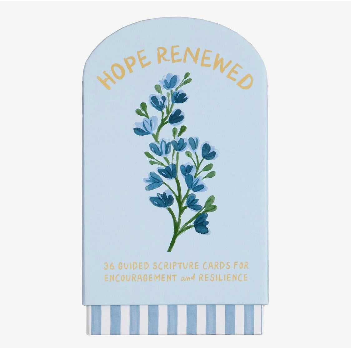 Faith Collection Guided Card's With Stand Hope Renewed