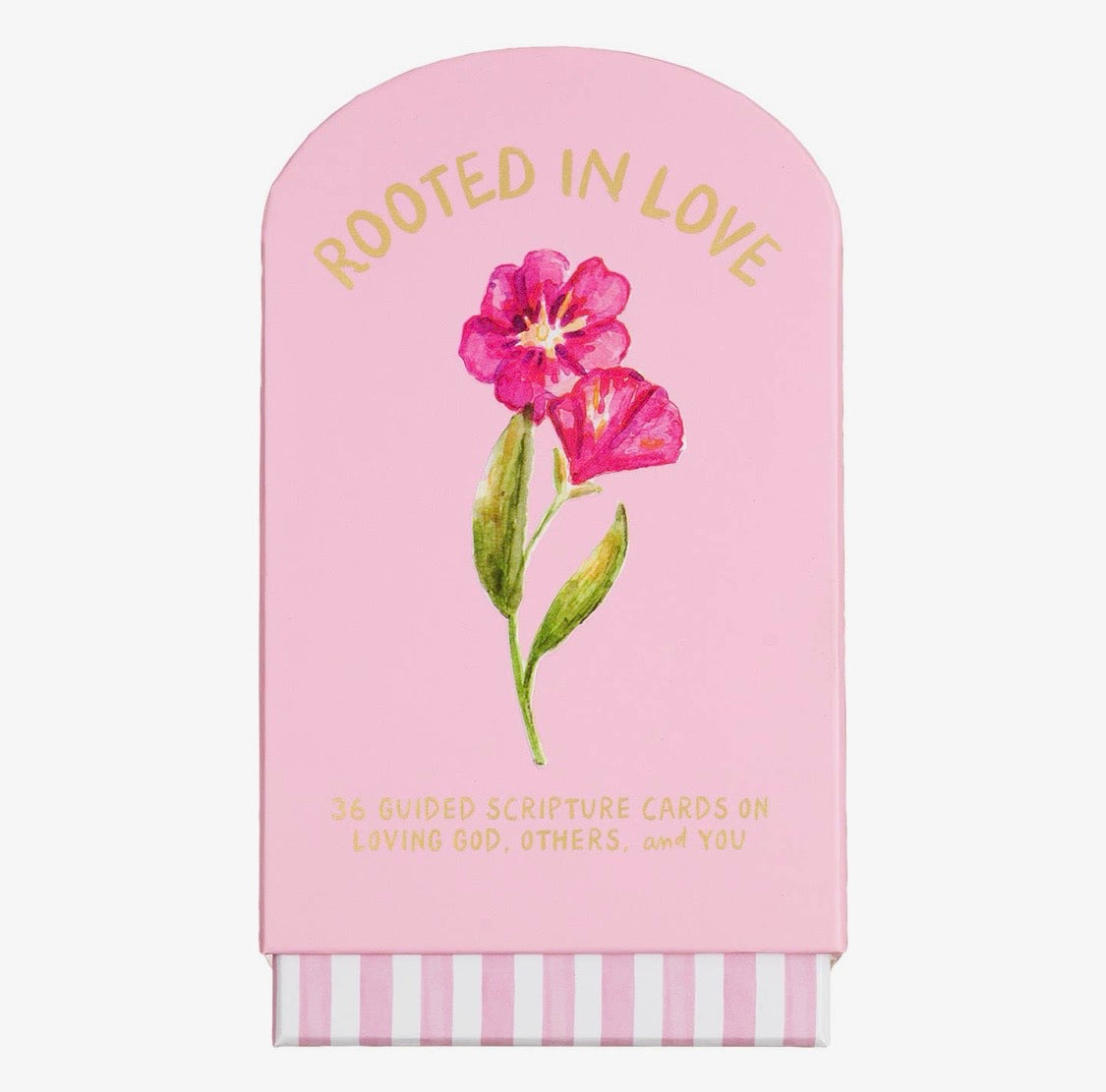 Faith Collection Guided Cards With Stand Rooted In Love