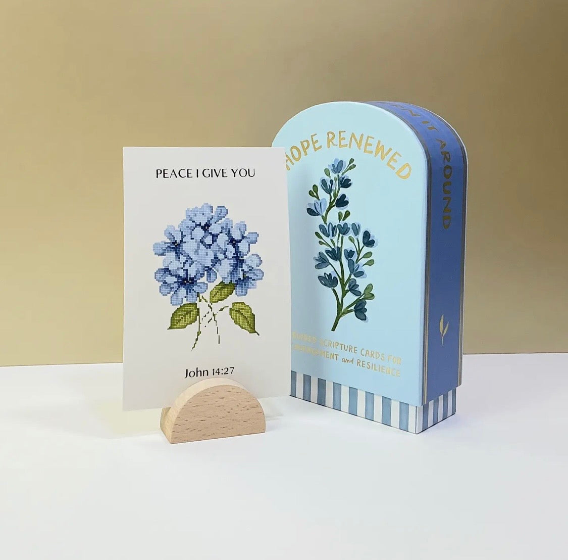 Faith Collection Guided Card's With Stand Hope Renewed